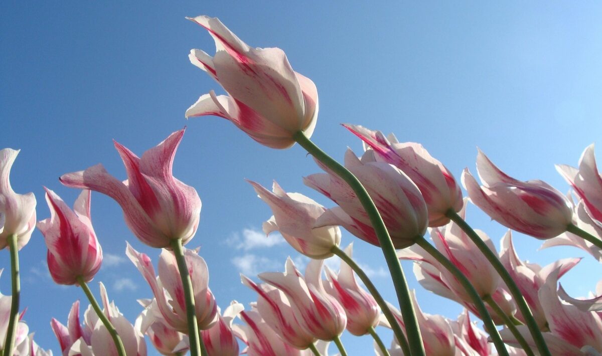 Požiadavky na prevádzkový kapitál rastú. Čo to znamená pre firmy?