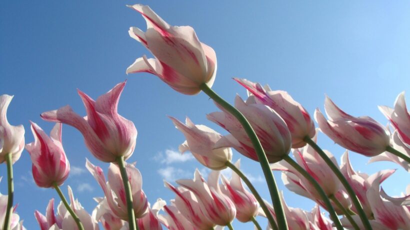 Požiadavky na prevádzkový kapitál rastú. Čo to znamená pre firmy?