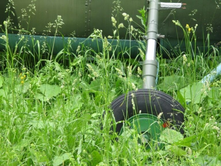 Firemné akcie: Eventy a teambuilding – Daňové dopady a uznateľnosť nákladov