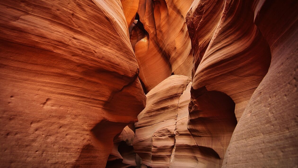 Finančná výchova: Ako učiť tínedžerov o úveroch a zodpovednom používaní kreditných kariet