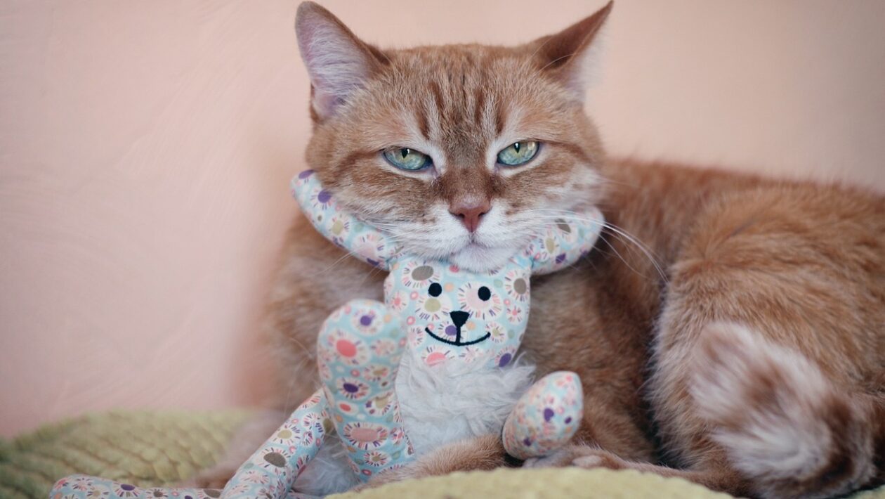 Manažment rizika: Refinancovanie úveru pri poklese príjmu domácnosti