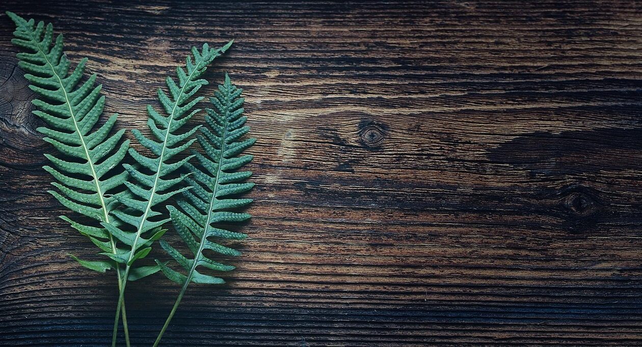 SEO pre marketplace: Stratégie indexácie, riešenie duplicitného obsahu a optimalizácia výpisov