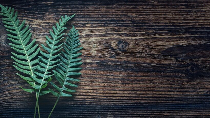 SEO pre marketplace: Stratégie indexácie, riešenie duplicitného obsahu a optimalizácia výpisov