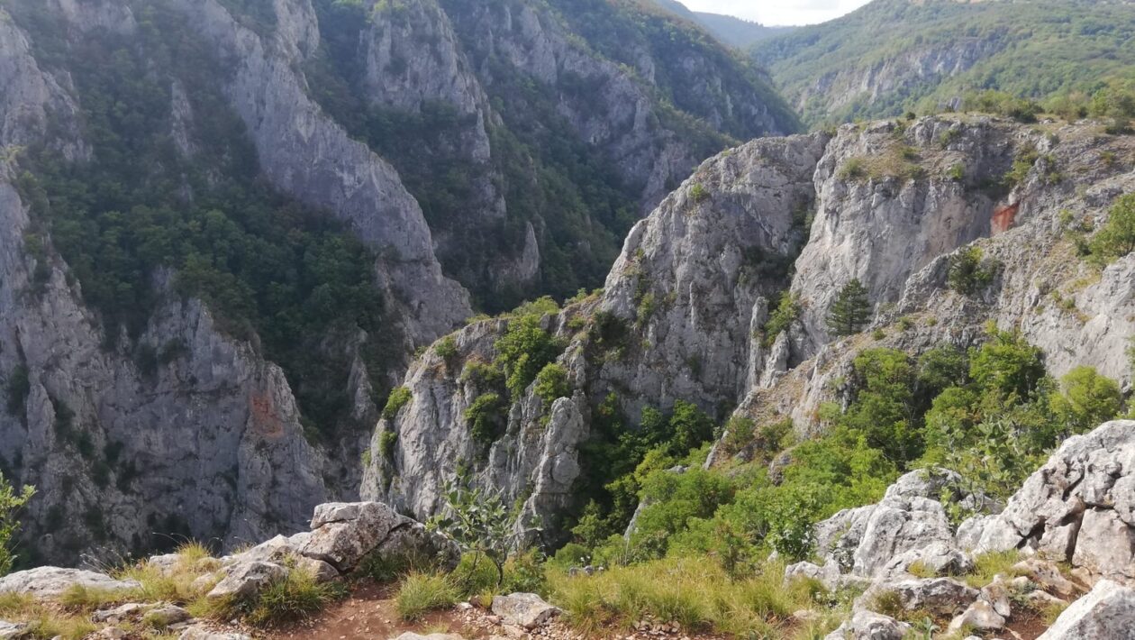 Online Kurzy a Členstvá: Čo reálne funguje pre udržateľný príjem
