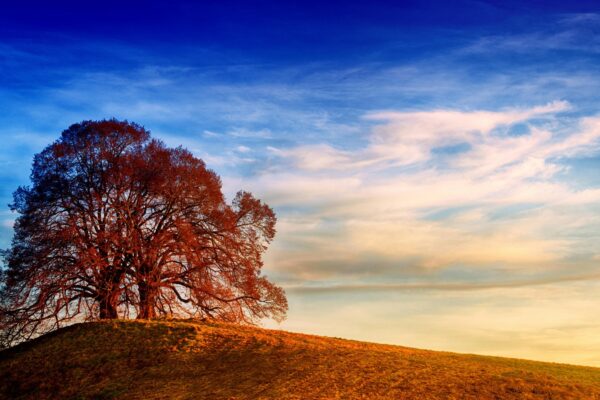 Omnichannel predaj a prepojenie online/offline: Bezproblémová zákaznícka skúsenosť