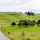 Projektový cyklus a životný cyklus projektu: Fázy a kľúčové aktivity
