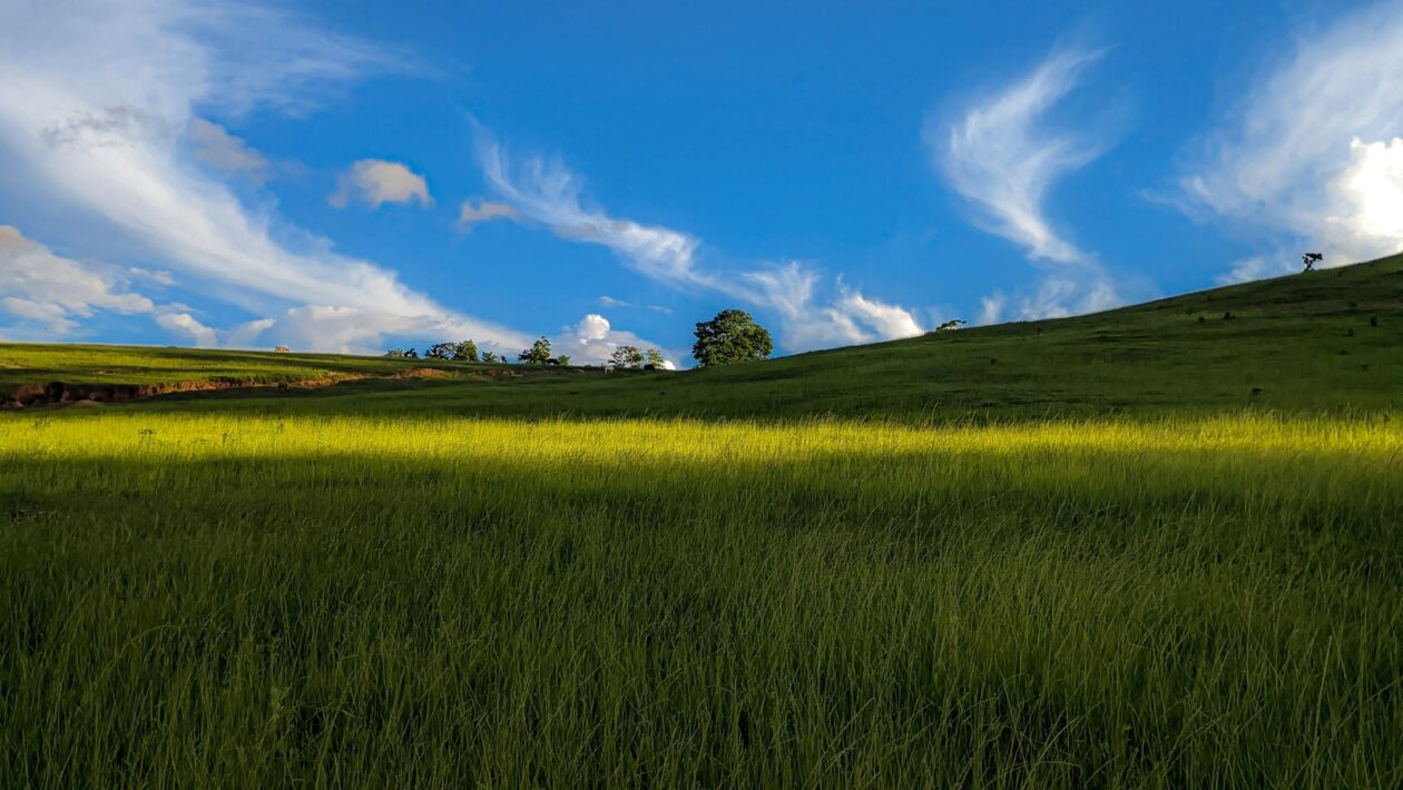 Typy a úrovne firemnej kultúry: Diagnostika a modely