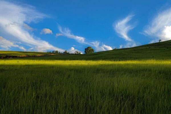 Typy a úrovne firemnej kultúry: Diagnostika a modely